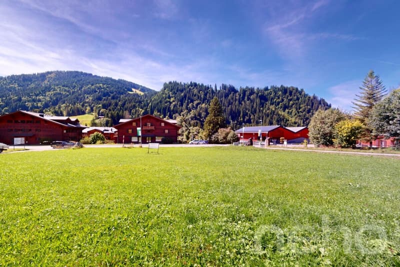 Exclusif: Magnifique terrain constructible à l'entrée du village (8)