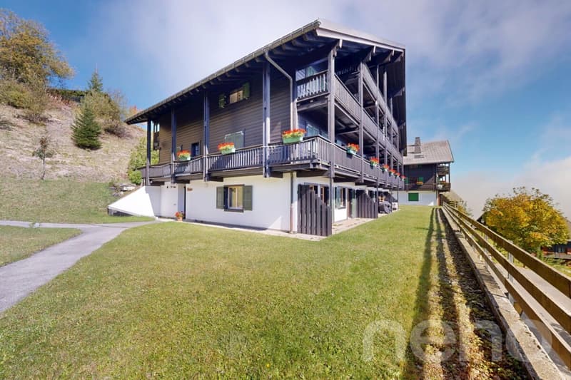 Appartement 3 chambres face aux Dents du Midi - Champoussin (12)