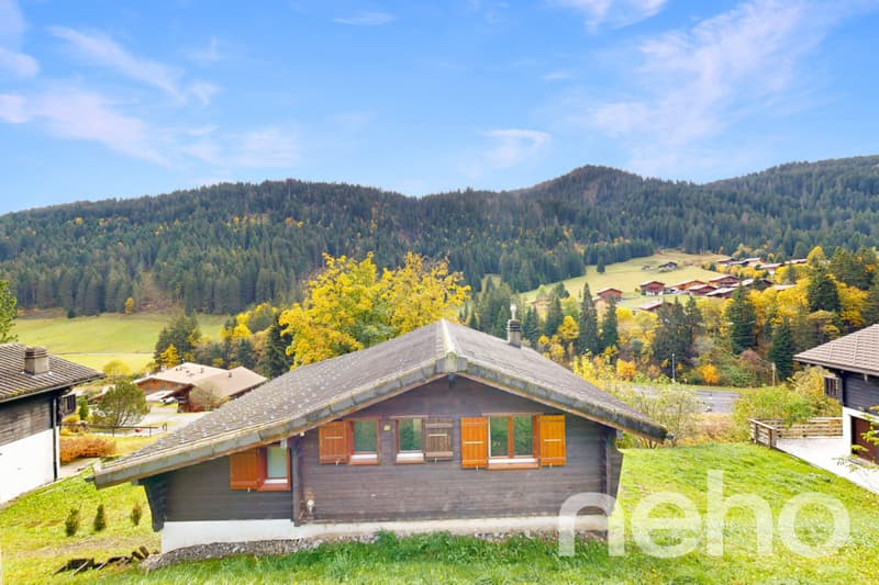 Exclusif: Chalet de 5 chambres avec une belle orientation plein sud (2)