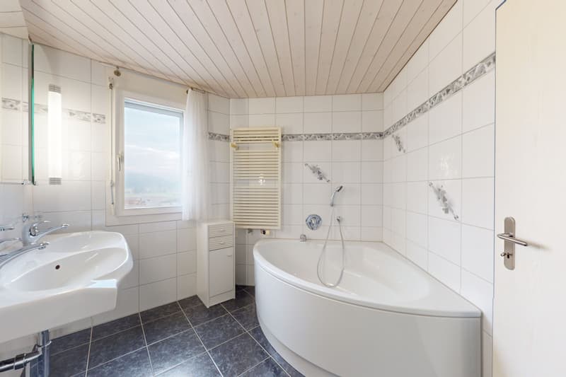 Dachwohnung mit fantastischer Bergsicht (10)
