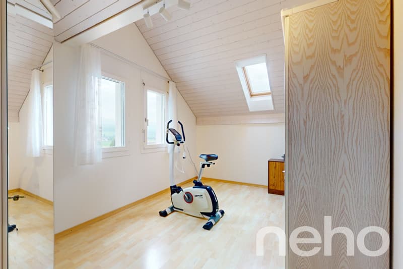 Dachwohnung mit fantastischer Bergsicht (12)
