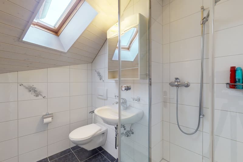 Dachwohnung mit fantastischer Bergsicht (11)