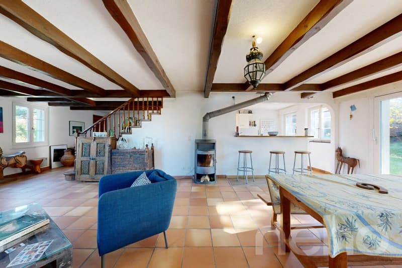 Maison de cachet avec grand jardin et beaux volumes (5)