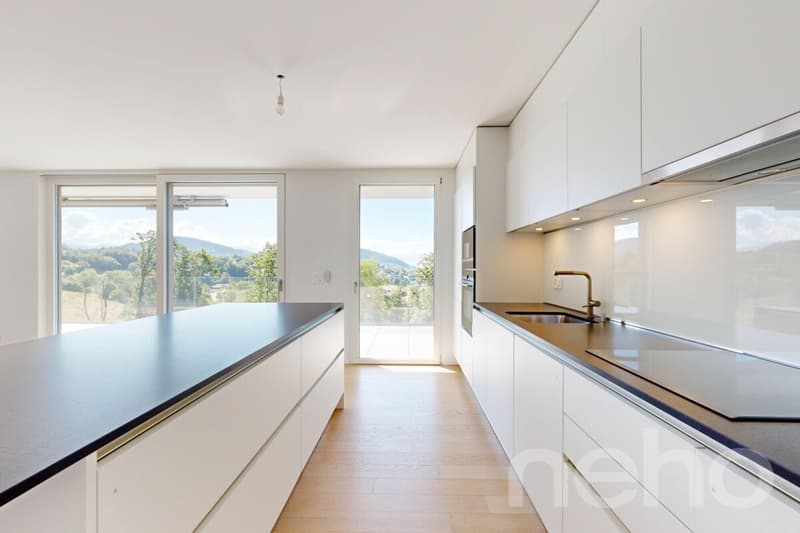 Appartement d'exception avec vue panoramique sur le lac et les Alpes (5)