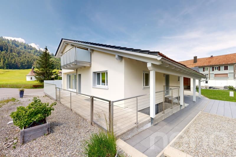 Einfamilienhaus mit über 260 m² Nutzfläche und grosser Garage (2)