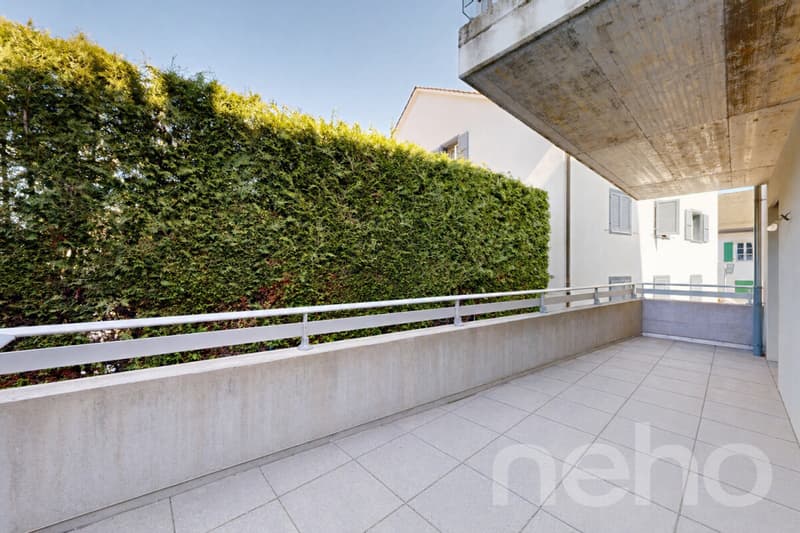 Superbe 5.5 pièces avec terrasse au centre de Crassier (11)
