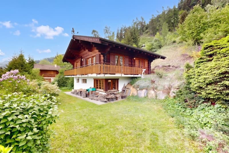 Authentique chalet en madriers avec vue imprenable (2)