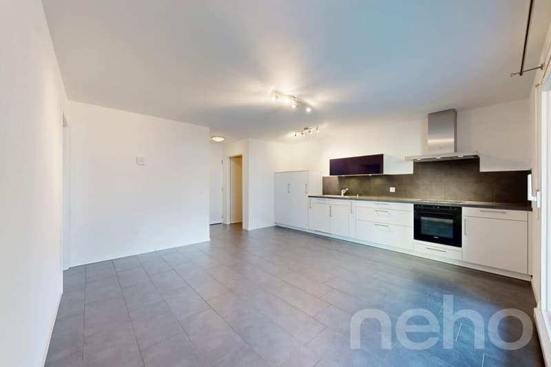 Exclusif: lumineux appartement avec grand balcon-terrasse (1)