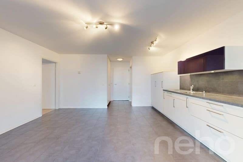 Exclusif: lumineux appartement avec grand balcon-terrasse (12)