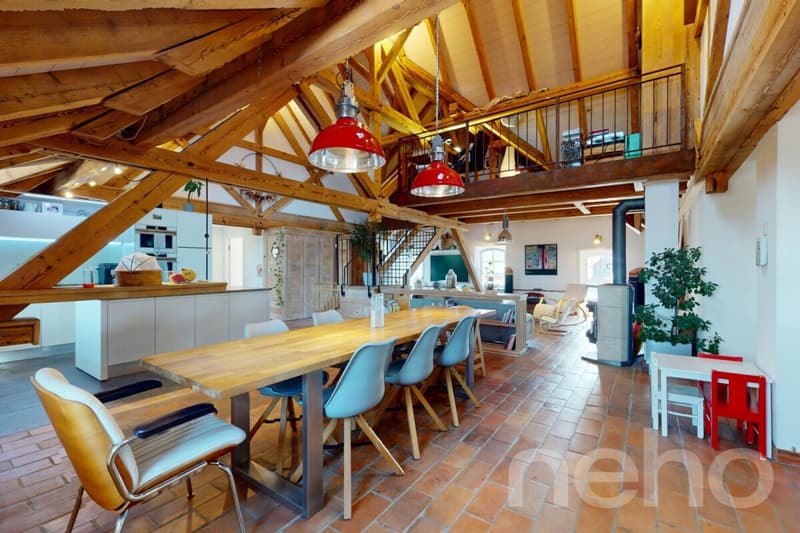 Magnifique Duplex sous les toits : l'espace et l'esprit d'une maison (2)
