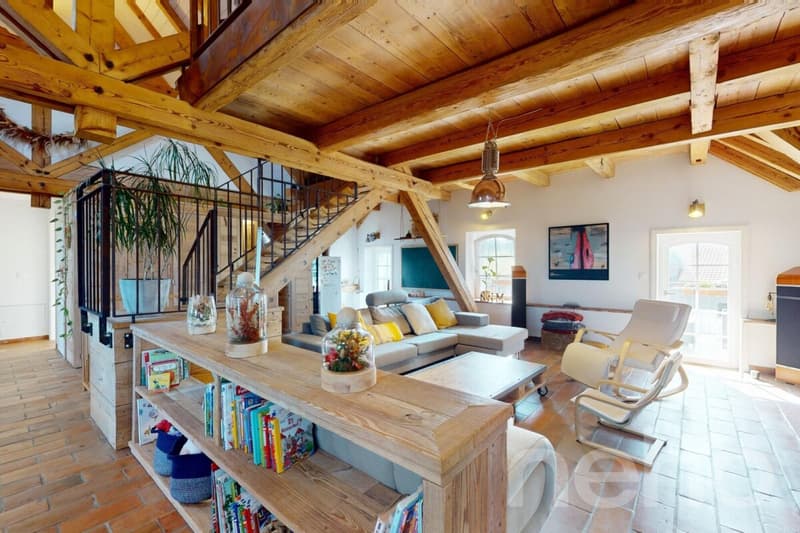 Magnifique Duplex sous les toits : l'espace et l'esprit d'une maison (3)