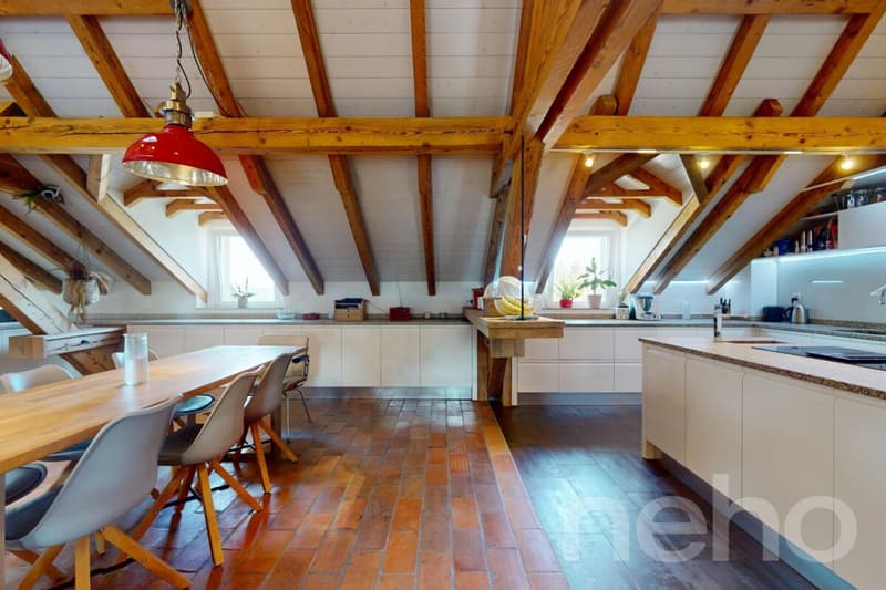 Magnifique Duplex sous les toits : l'espace et l'esprit d'une maison (4)