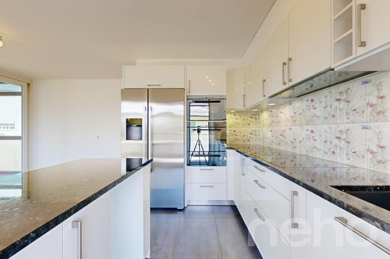 Appartement contemporain avec grande terrasse au c?ur de Pully (10)