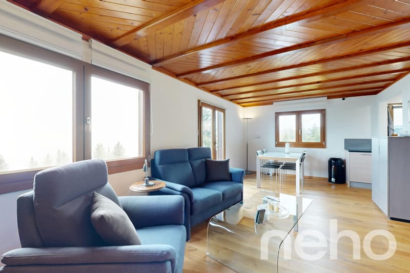 Magnifique chalet et son studio privé - Les Giettes (7)