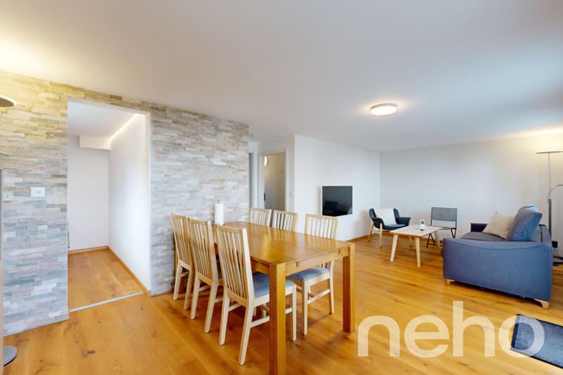 Magnifique chalet et son studio privé - Les Giettes (11)