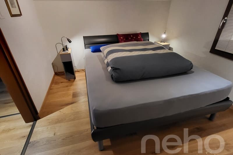 Magnifique chalet et son studio privé - Les Giettes (8)