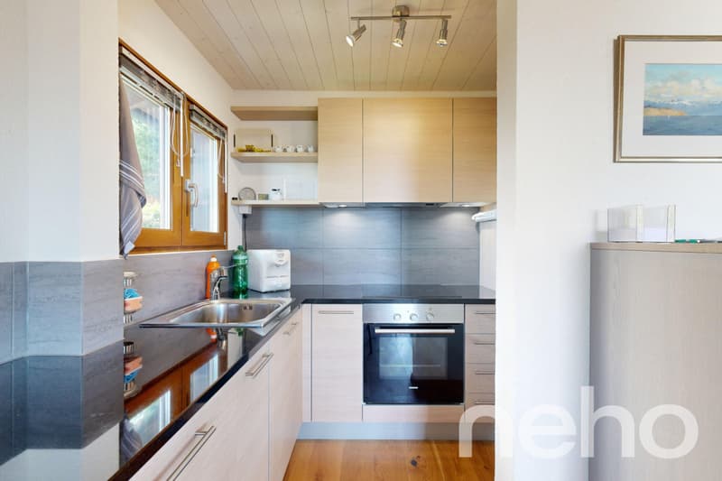 Magnifique chalet et son studio privé - Les Giettes (5)