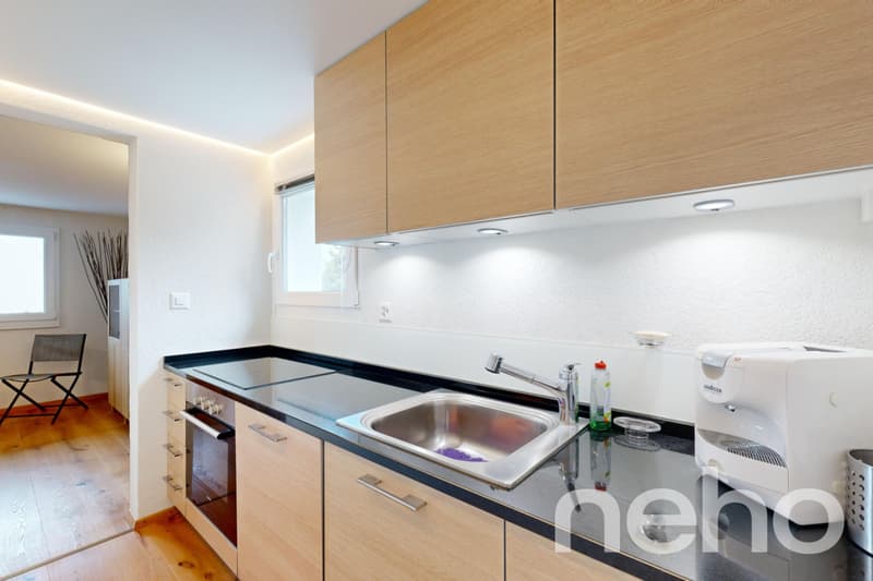 Magnifique chalet et son studio privé - Les Giettes (12)