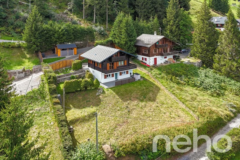 Magnifique chalet et son studio privé - Les Giettes (2)
