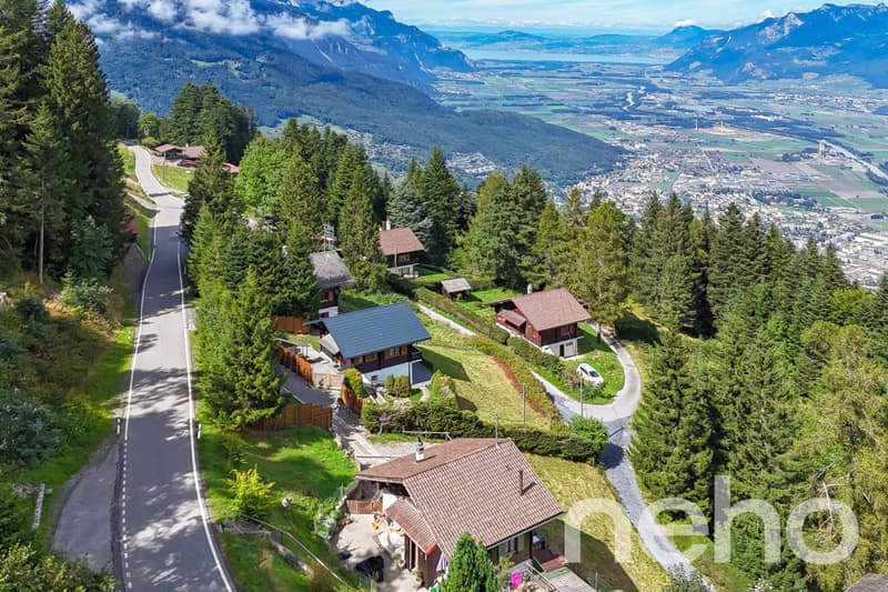 Magnifique chalet et son studio privé - Les Giettes (3)