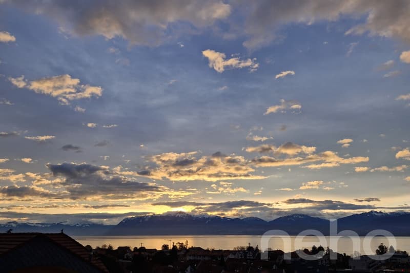 Attique avec vue panoramique sur le lac (8)