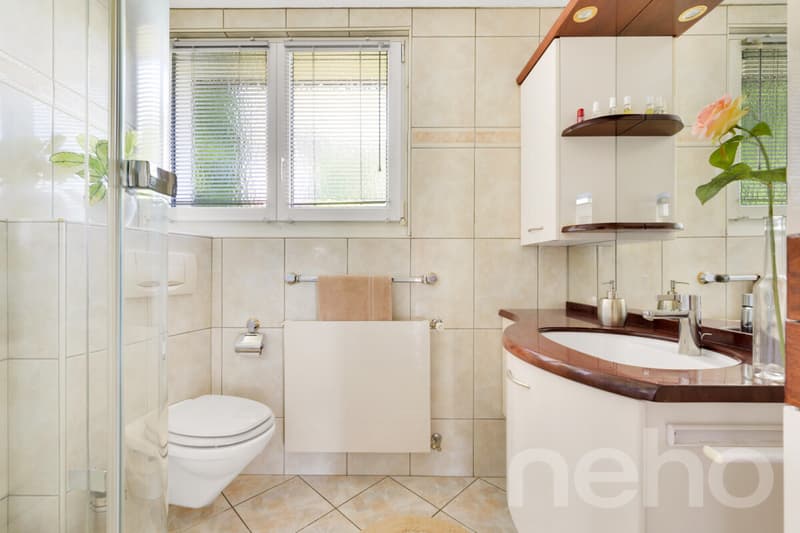 Ihr neues Zuhause mit viel Platz, Garten und Aussicht (9)