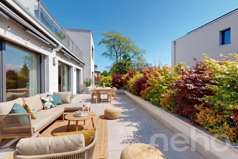 Spacieux 3.5 pièces avec grand terrasse et situation idéale (3)