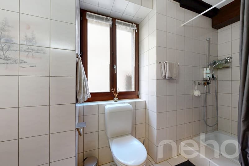 Appartement lumineux 4.5 pièces avec jardin ? Quartier calme (10)