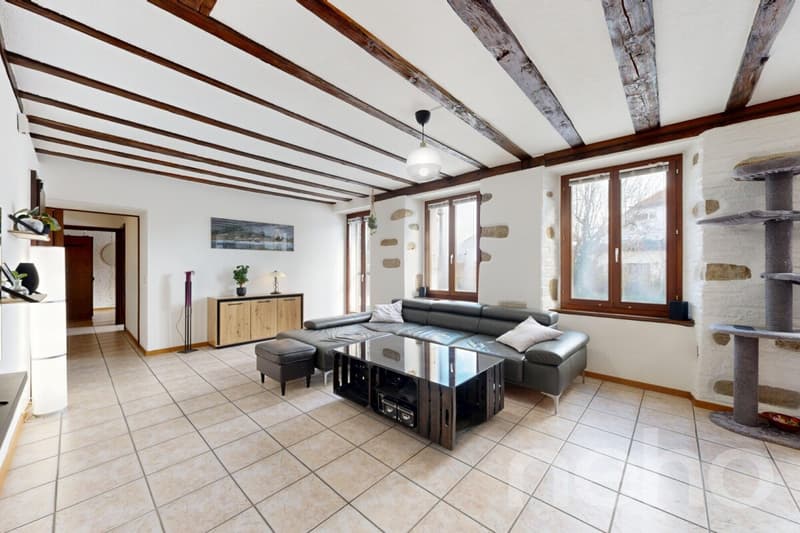 Appartement lumineux 4.5 pièces avec jardin ? Quartier calme (5)