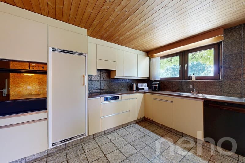 Grosszügiges 7.5-Zimmer-Einfamilienhaus mit Gartenidylle in Dornach (7)