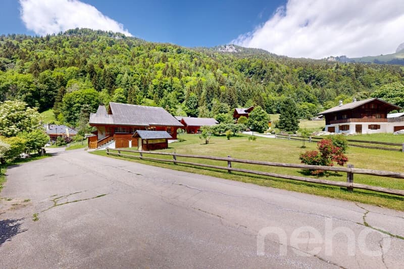 Chalet de caractère : jardin bucolique et potentiel rare (3)