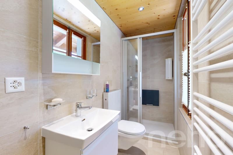 Chalet de caractère : jardin bucolique et potentiel rare (10)
