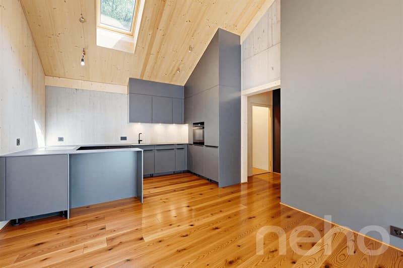 Neubau-Dachgeschosswohnung mit besonderer Architektur und Bergsicht (4)