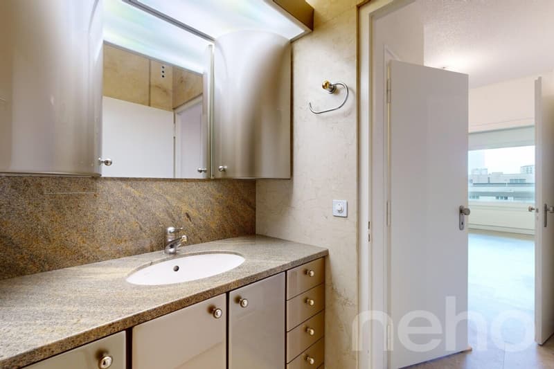 Superbe duplex familial de 7 pièces à Thônex (10)