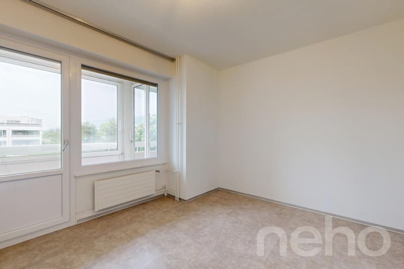 Superbe duplex familial de 7 pièces à Thônex (5)
