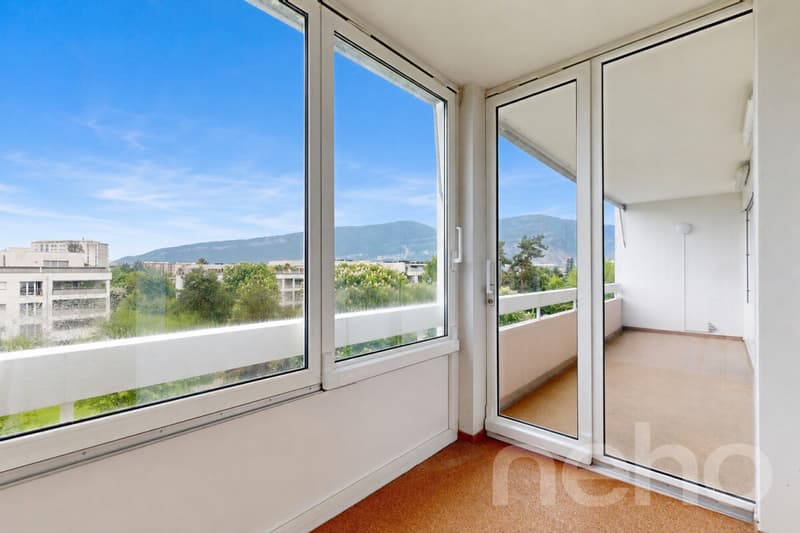 Superbe duplex familial de 7 pièces à Thônex (11)