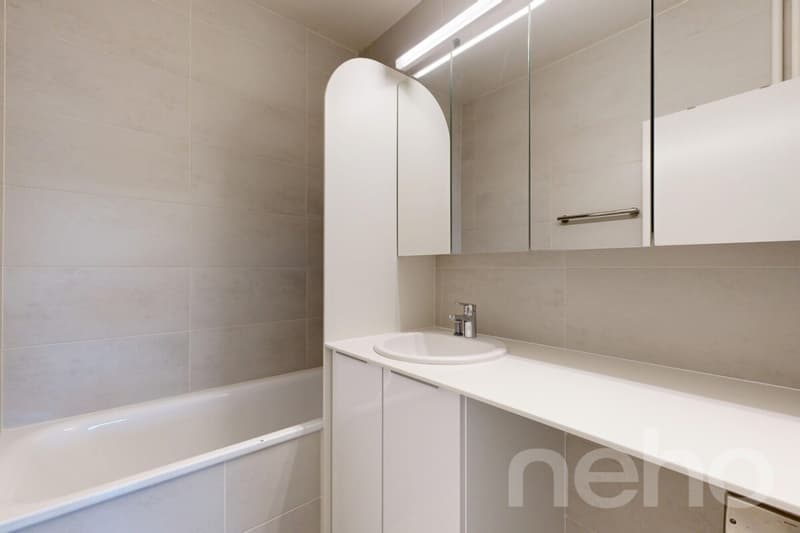 Superbe duplex familial de 7 pièces à Thônex (9)