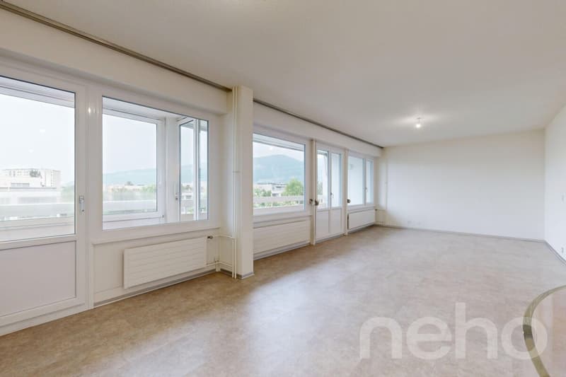 Superbe duplex familial de 7 pièces à Thônex (2)