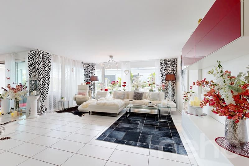 Grosszügige 4.5 Zimmer-Terrassenwohnung mit zusätzlichem Disporaum (2)