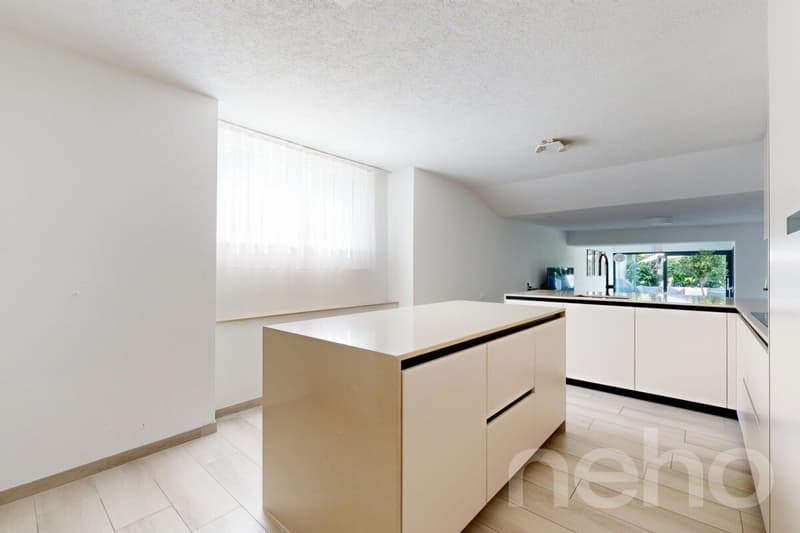 Magnifique Duplex entièrement rénové (8)