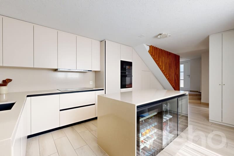 Magnifique Duplex entièrement rénové (7)