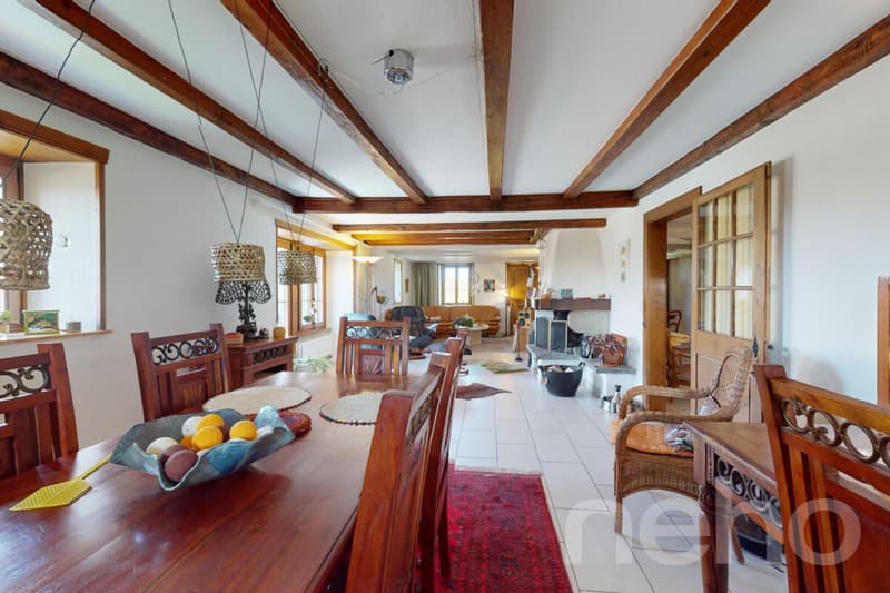 DUPLEX DE CHARME AVEC GRAND POTENTIEL D?AMÉNAGEMENT À SOTTENS (10)