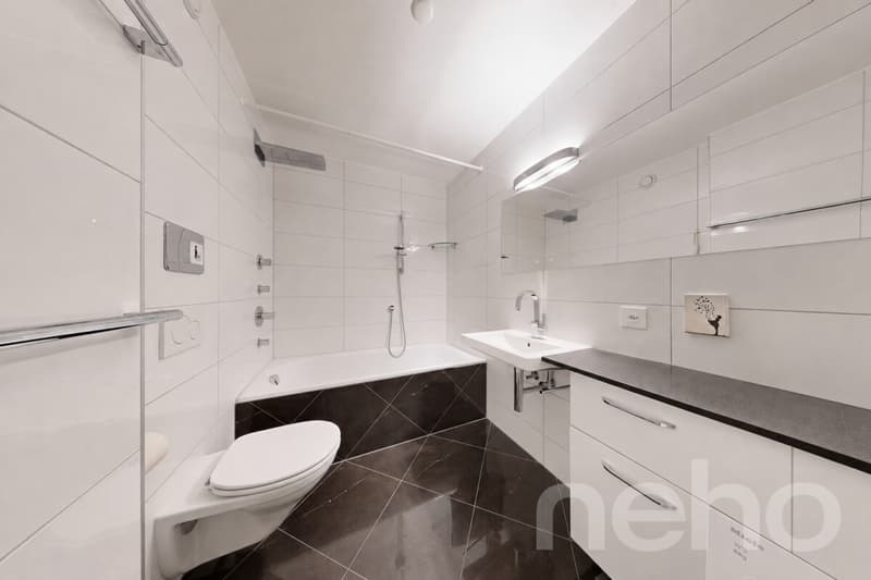 Rare appartement 2.5 pièces avec vue panoramique (5)