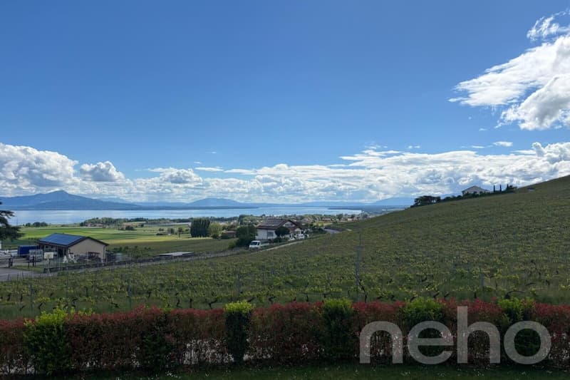 Maison contemporaine aux volumes d'exception avec vue lac et Alpes (3)