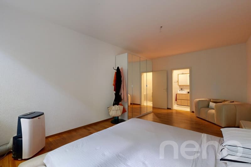 Appartement familial lumineux à deux pas de toutes les commodités (7)