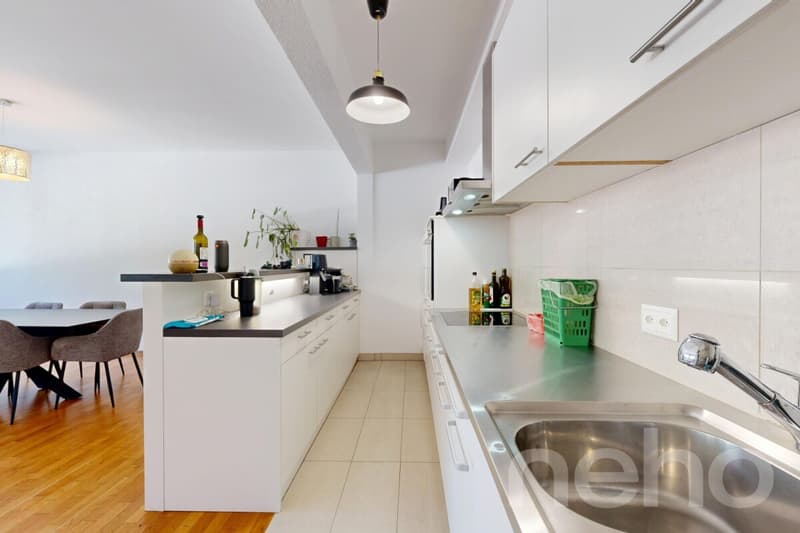 Appartement familial lumineux à deux pas de toutes les commodités (4)