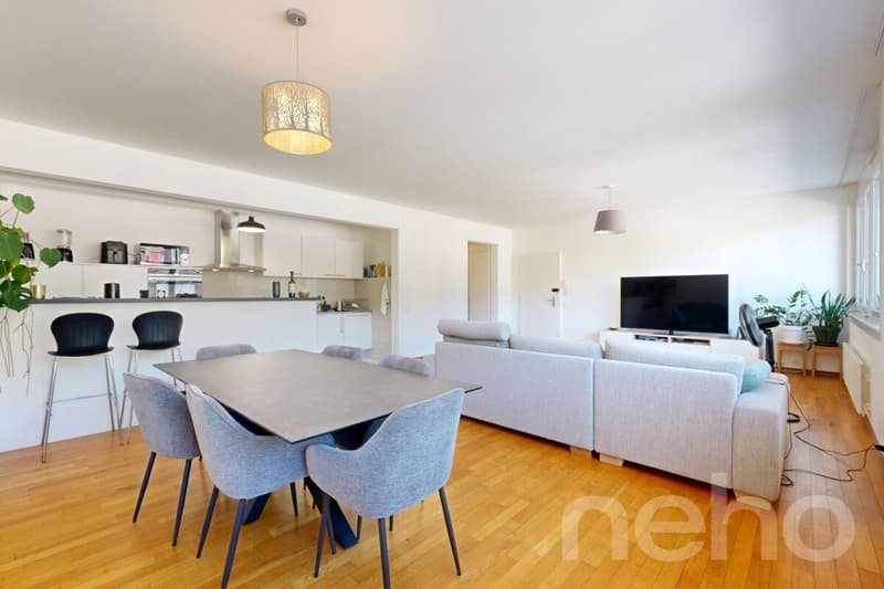 Appartement familial lumineux à deux pas de toutes les commodités (3)