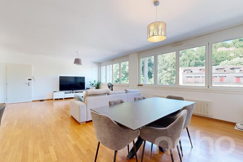 Appartement familial lumineux à deux pas de toutes les commodités (2)