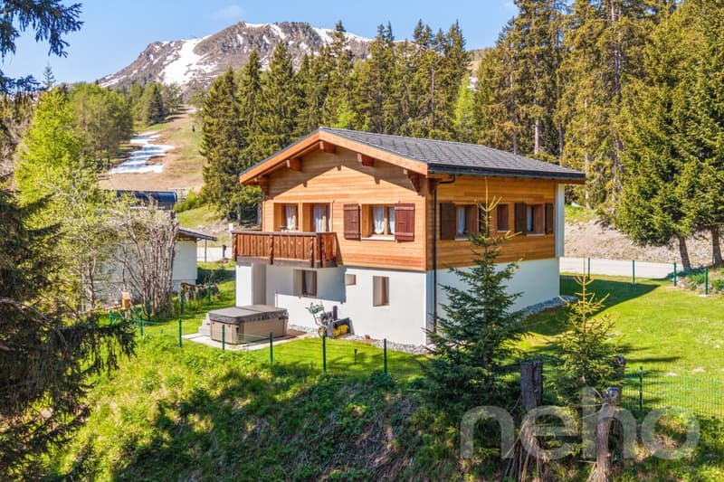 Chalet lumineux avec espace bien-être et accès direct aux pistes (3)