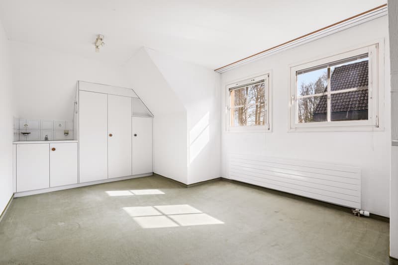 Freistehendes 6-Zimmer-Einfamilienhaus mit grossem Garten (8)